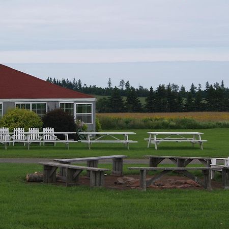 Stanley Bridge Country Resort And Conference Centre Exterior photo